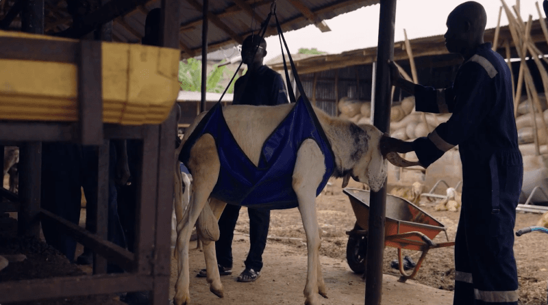 Standard consistent pricing system